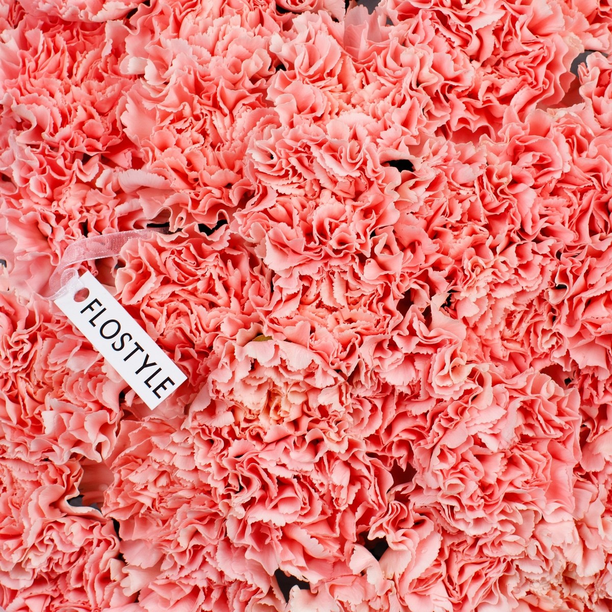 bolshoj stojkij buket diantusov 7